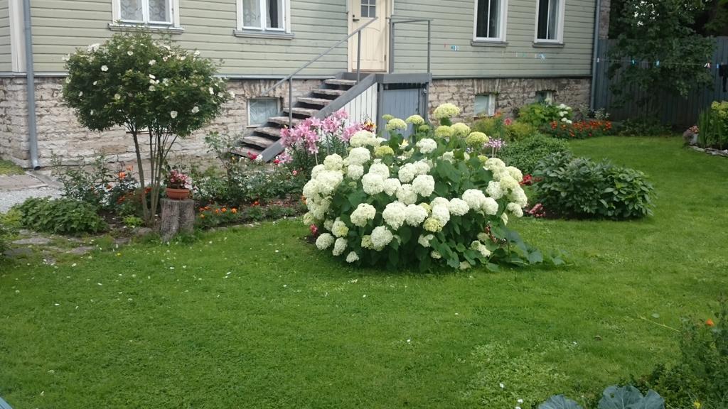 Matrix Garden Apartments Tallinn Room photo